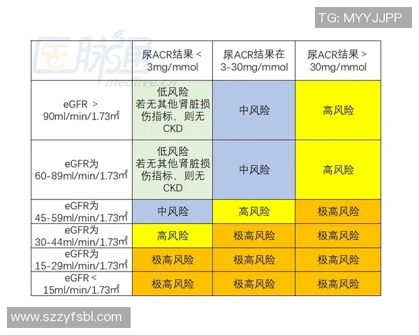 广州极限运动队速度对比深度解析与各队表现评估