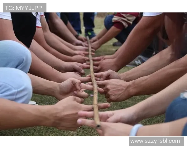 杭州排球队在钻石联赛中的团队协作展现出卓越实力与默契配合