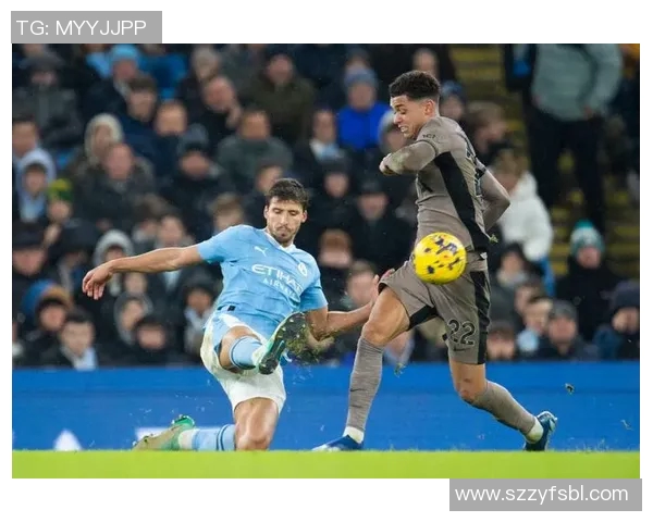 英超SPURS球队：热刺队（SPURS）在英超联赛中的历程与表现