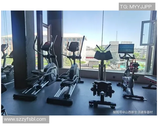 郑州健身器材厂家及产品种类概览