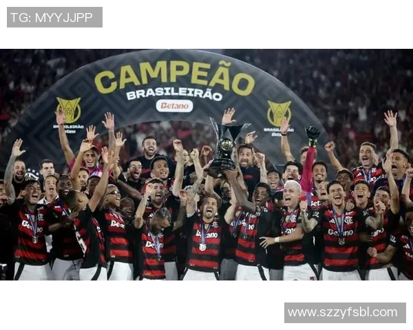 巴西足球甲级联赛精彩纷呈 本土豪门激烈争夺冠军宝座