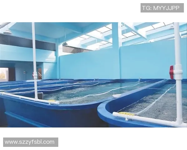 现代泳池设计理念与技术创新探索提升游泳体验的空间艺术